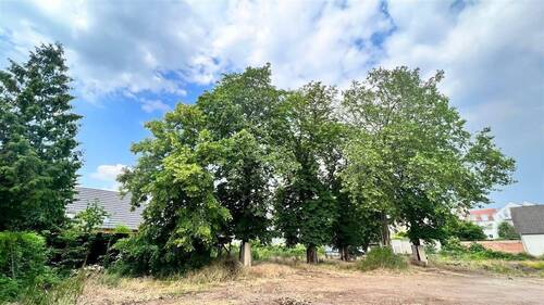 Grundstück in MD-Cracau - 