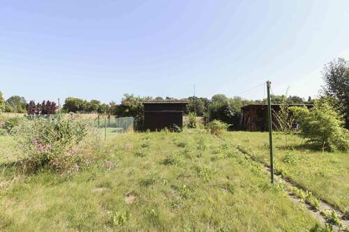 Garten Bild 2 - 5 Zimmer Einfamilienhaus in Bad Salzdetfurth