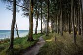Ostsee - 