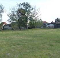 Schönes Baugrundstück bei Delitzsch zu verkaufen - Zschernitz