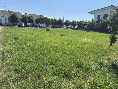 IMG_0166 - Grundstück in Bad Krozingen