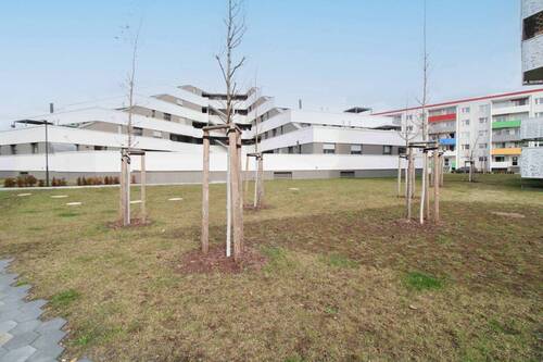 Rückansicht - 