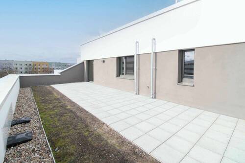 Terrasse - 