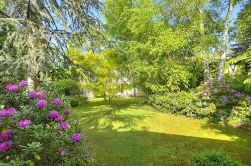 Blick in den Garten - Bauland in 2. Reihe in Lichterfelde