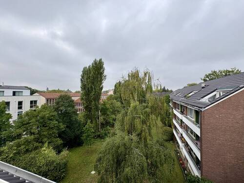 Ausblick ins Grüne - 