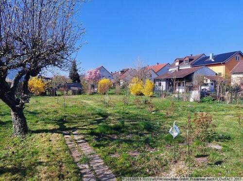Garten - 6 Zimmer Einfamilienhaus zum Kaufen in Weingarten