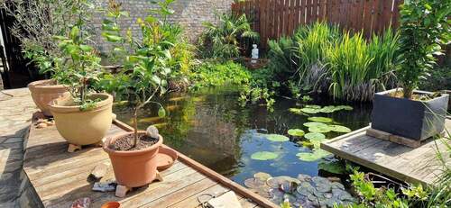 1000009389 - 6 Zimmer Mehrfamilienhaus, Wohnhaus in St. Leon-Rot