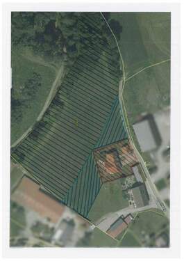 Ihre drei Optionen - 