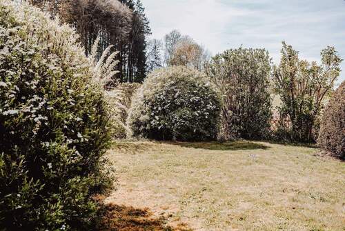 Wildromantischer Blütenzauber. - 