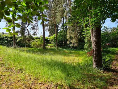 Garten - Grundstück in Bendestorf / Nordheide