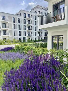 IMG_6354 - Etagenwohnung mit 46,10 m&sup2; in Berlin zur Miete