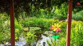 Gartenteich - 