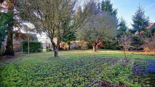 Garten hinter dem Haus - 