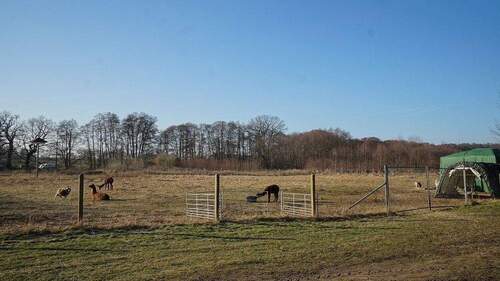 Aussicht Grundstück hinten - 
