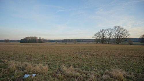 Viel Himmel, Licht,... - 