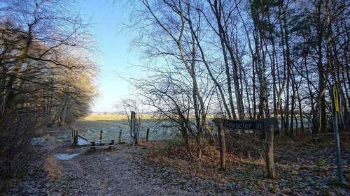 Weg zur Seeadler-Aussichtskanzel - 