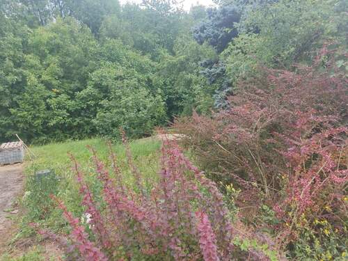 Grundstück Olk - 5 Zimmer Einfamilienhaus in Ralingen