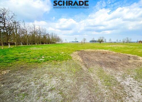 ...auslaufend als Grünfläche - 