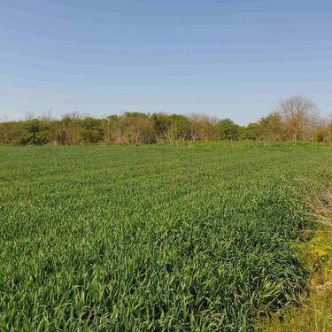 Bild 2 - 1 Zimmer Mehrfamilienhaus, Wohnhaus zum Kaufen in Bilo