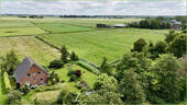 Blick in die Ferne - 