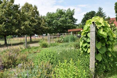 Kräutergarten - Einfamilienhaus mit 110,00 m&sup2; in Frankfurt (Oder) zum Kaufen