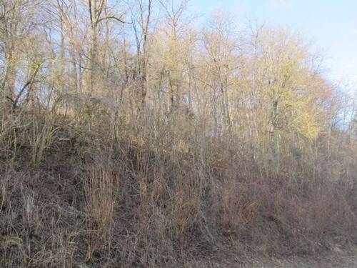 Bild 2 - Grundstück in Widdern zum Kaufen