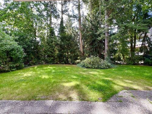 Blick in den Garten - 