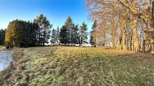 hinteres Grundstück - 