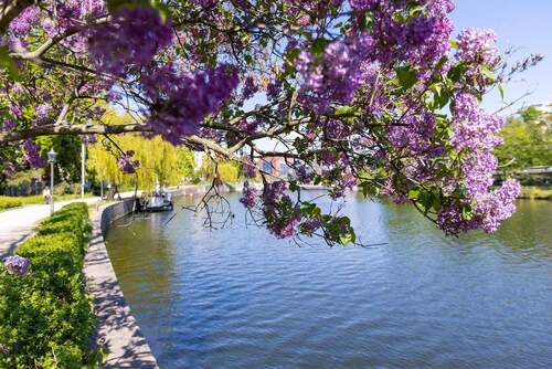 Bild 19 - 