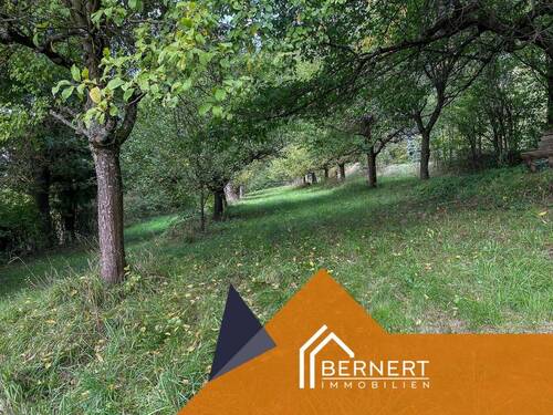 Wiese mit Obstbaumbestand - 