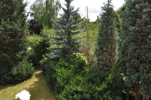 Ausblick vom Balkon - 