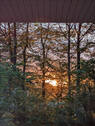 Gute Nacht! - 