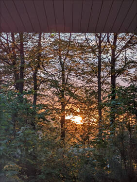 Gute Nacht! - 