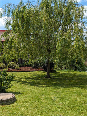 Frühlingsgefühle - Einfamilienhaus mit 122,00 m² in Partenstein zum Kaufen