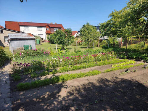 Gartenblick - 6 Zimmer Doppelhaushälfte zum Kaufen in Stralsund