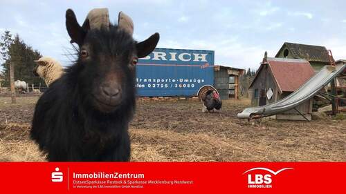 Außenansicht - Bauernhof mit vielseitiger Nutzung