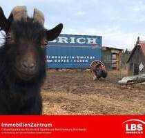 Bauernhof mit vielseitiger Nutzung - Kröpelin Altenhagen