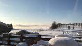 Winterlandschaft - 