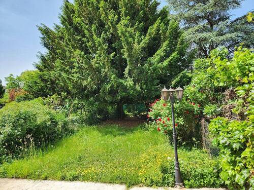 Garten - 