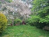 20260510_161631.jpg - 4 Zimmer Einfamilienhaus in Pinneberg