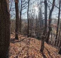 Baugrundstück in attraktiver Lage von Zwickau
