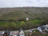 Blick auf die Weinberge - Grundstück in Neumagen-Dhron zum Kaufen