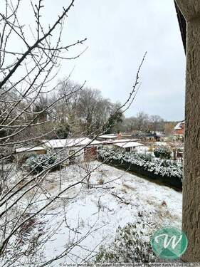 Blick aus dem Fenster in den Garten - 