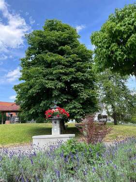 Ortsmitte - Grundstück in Salem