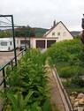 Garten.jpg - 