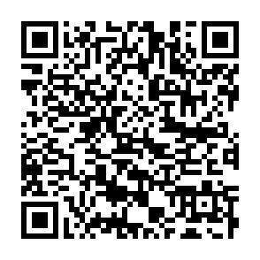 QR-Code - 
