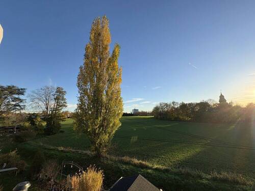 Ausblick vom Balkon - 