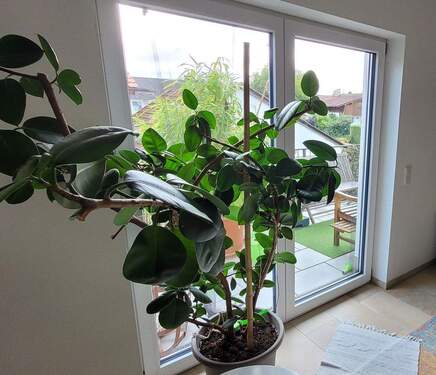 Blick auf Südbalkon - Etagenwohnung mit 104,00 m² in Riedering zum Kaufen