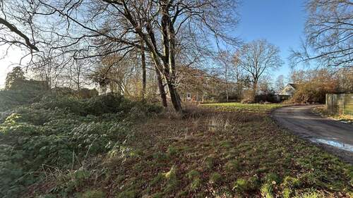 Baugrundstück - Grundstück in Satow