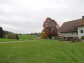 Blick nach Osten - 